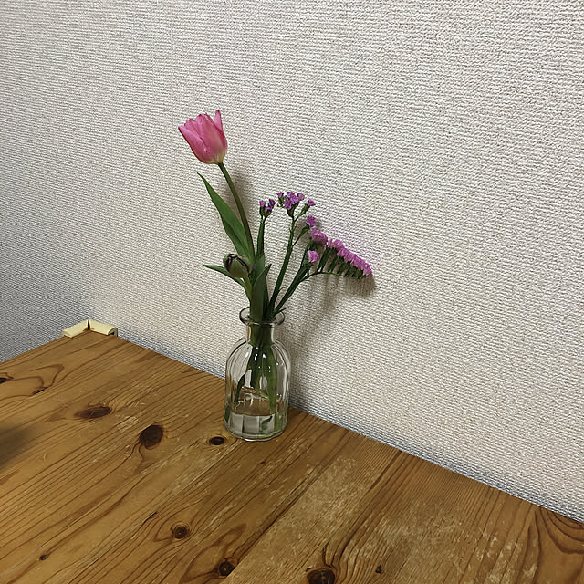Mikaさんの実例写真
