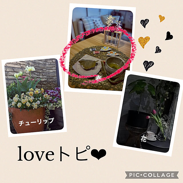 CoCo0617さんの実例写真