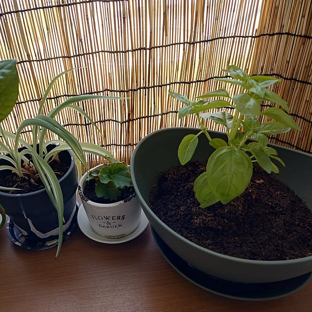 moruさんの部屋