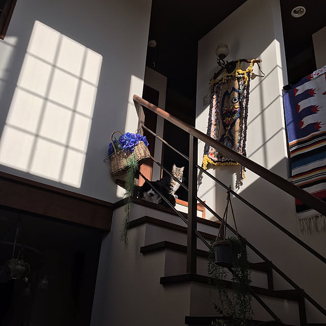 shigimiさんの実例写真