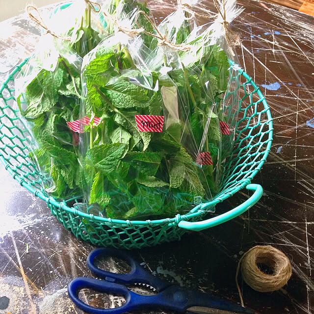 Ekaterinaさんの実例写真