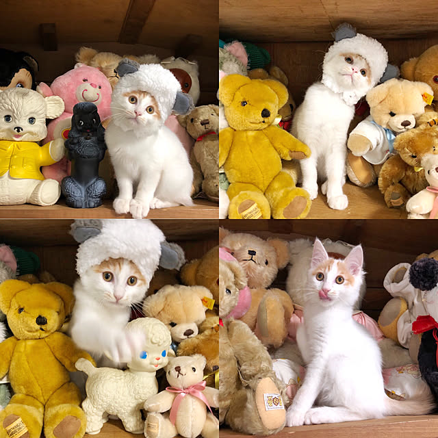 yuchiさんの実例写真