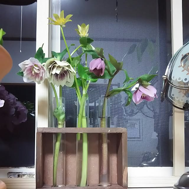 naopyiさんの実例写真