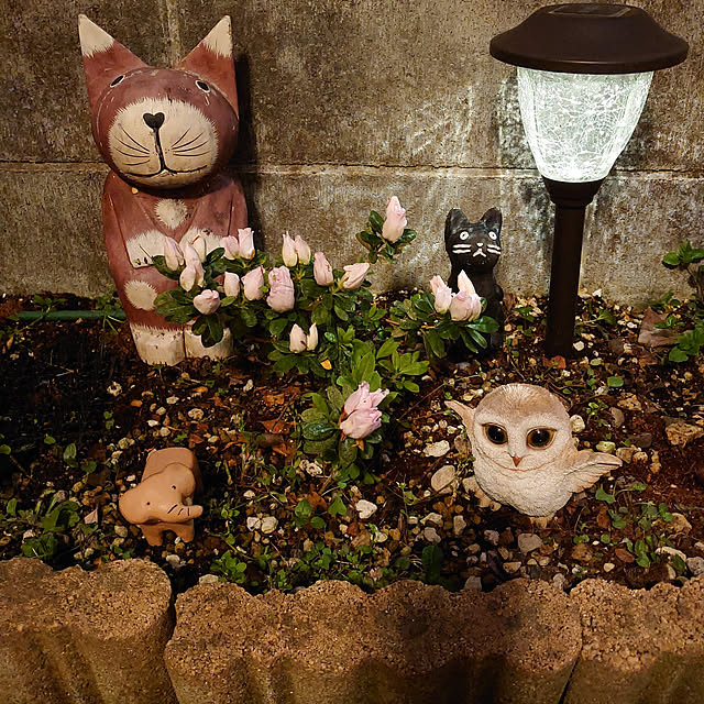 fukuさんの実例写真