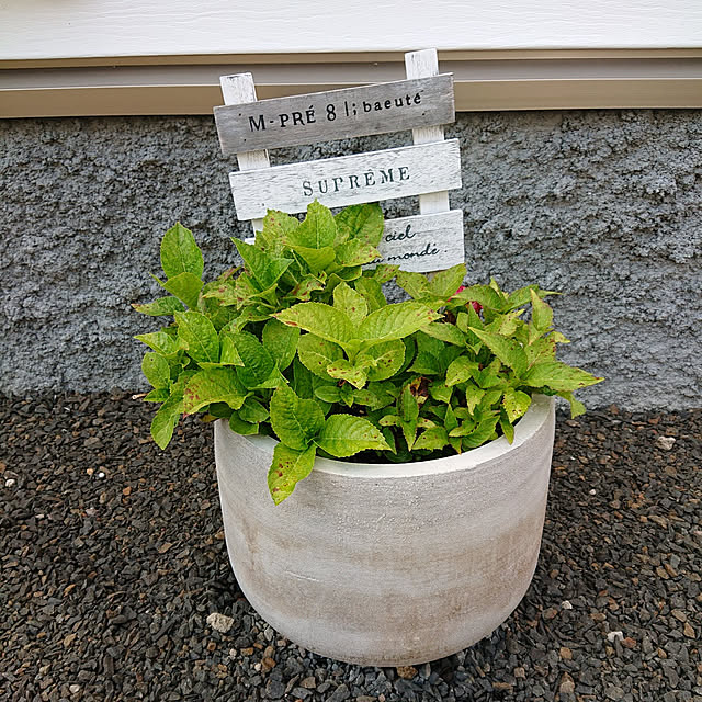 mamaさんの実例写真