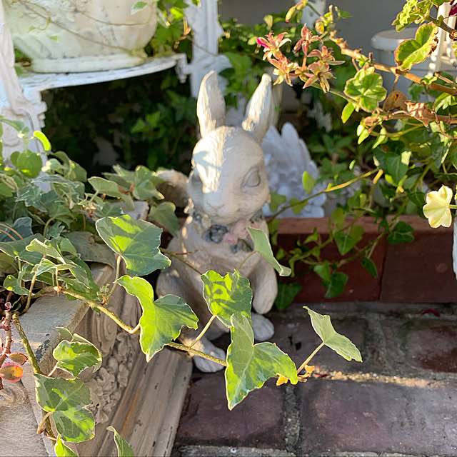 AYUKOさんの実例写真