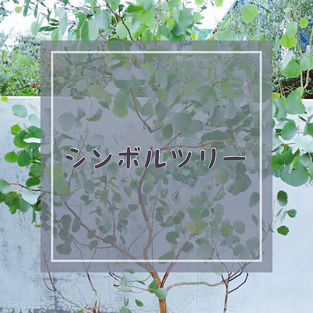 nukochiさんの実例写真