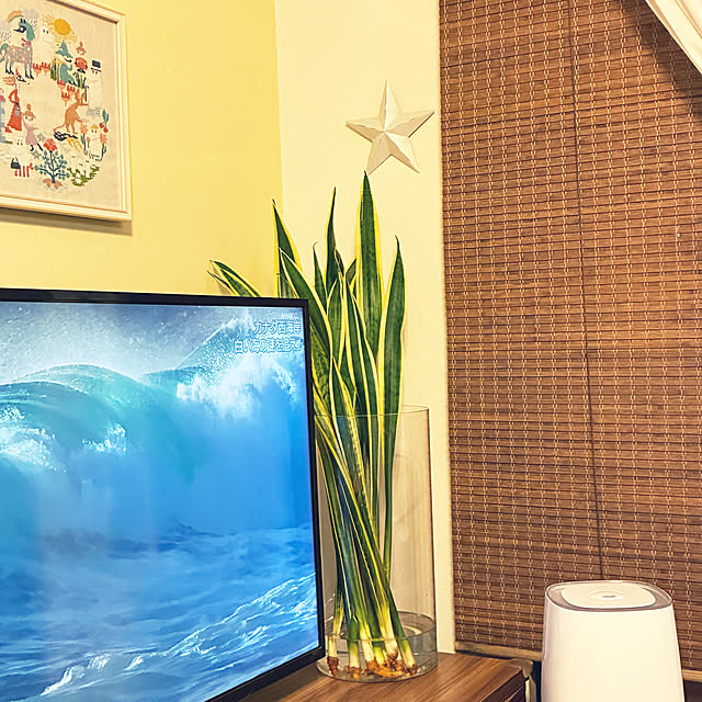 koshiregutyoさんの部屋