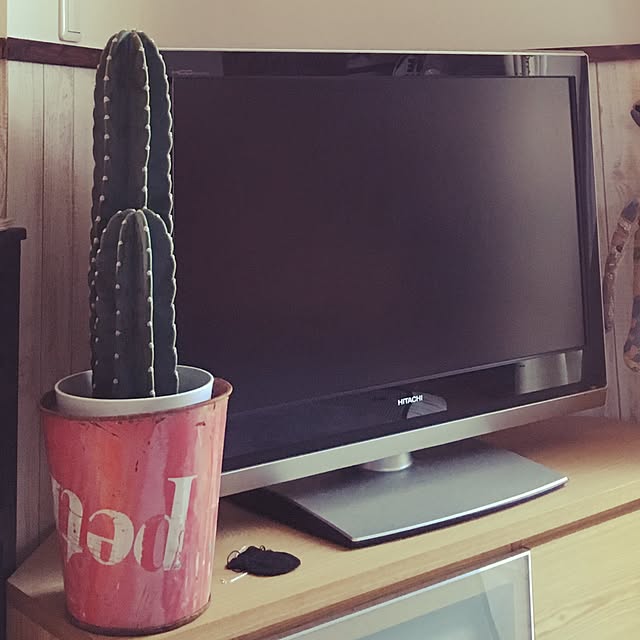 coconutさんの実例写真