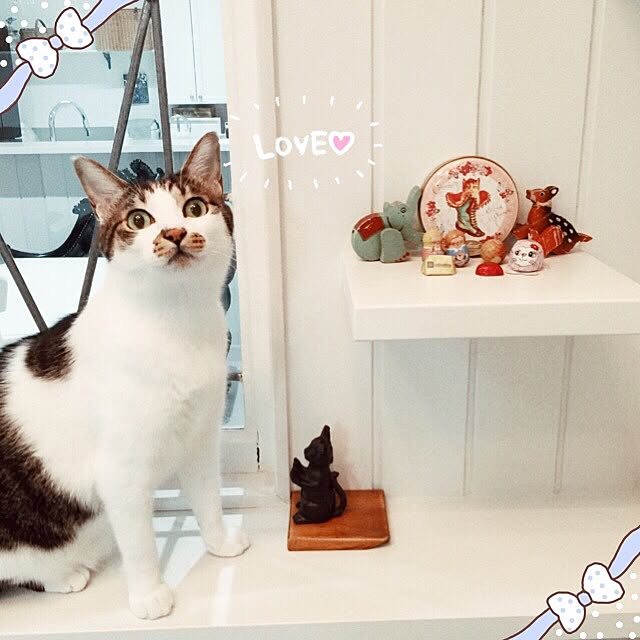 yuchiさんの実例写真