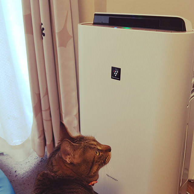nottanさんの実例写真