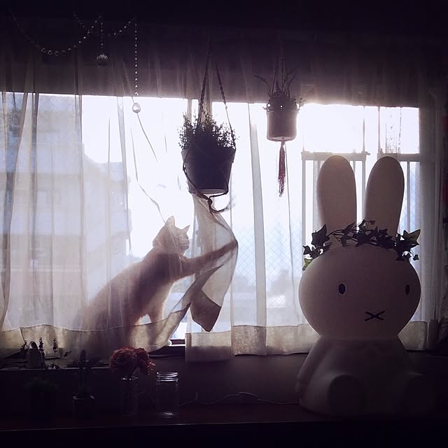 yuccoさんの実例写真