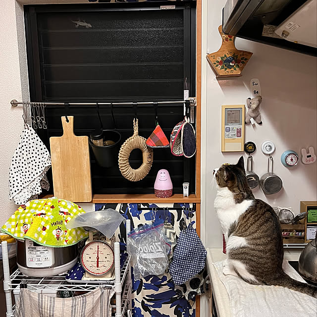 jijiさんの実例写真