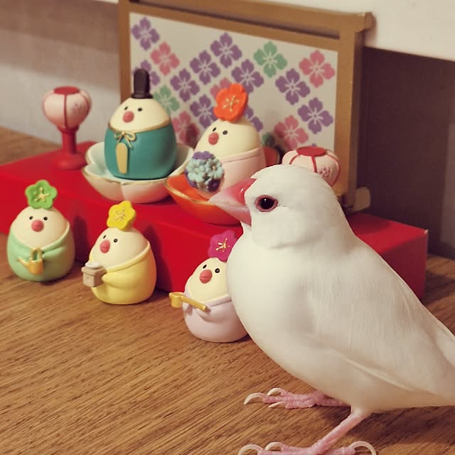 otokiさんの実例写真
