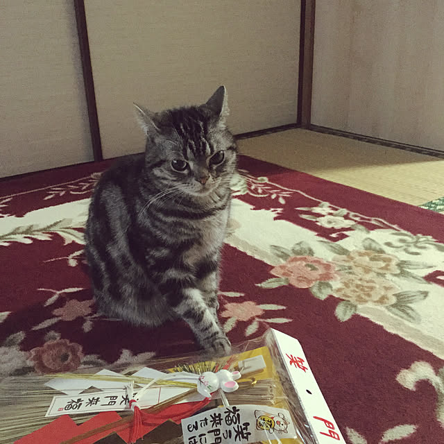 richanさんの実例写真