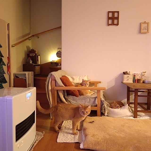 mayutan.さんの部屋