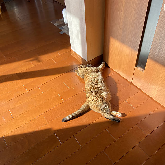 hansho.sさんの実例写真