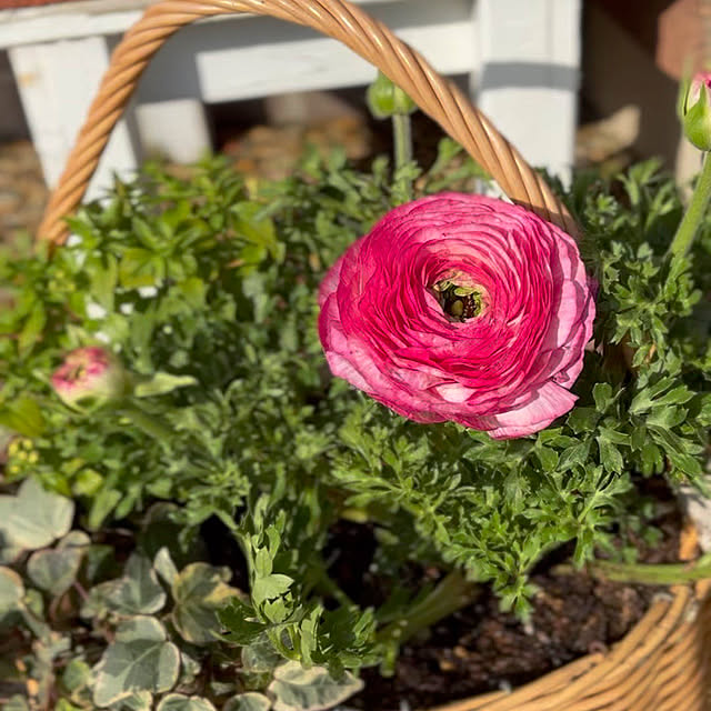 haruruさんの部屋