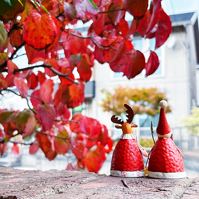 moolさんの実例写真