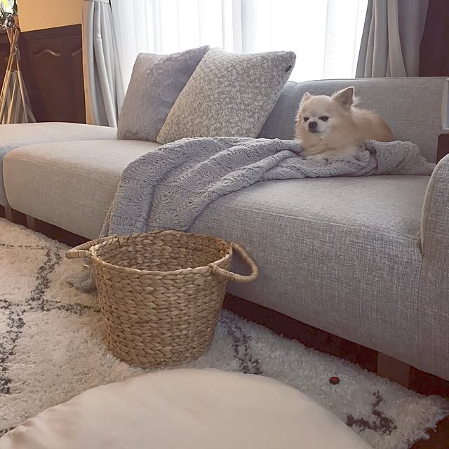 ponさんの実例写真