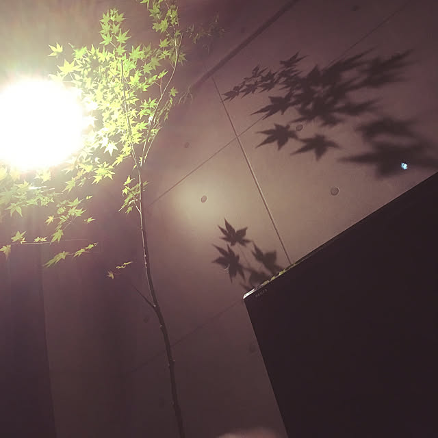 asami.1205さんの実例写真
