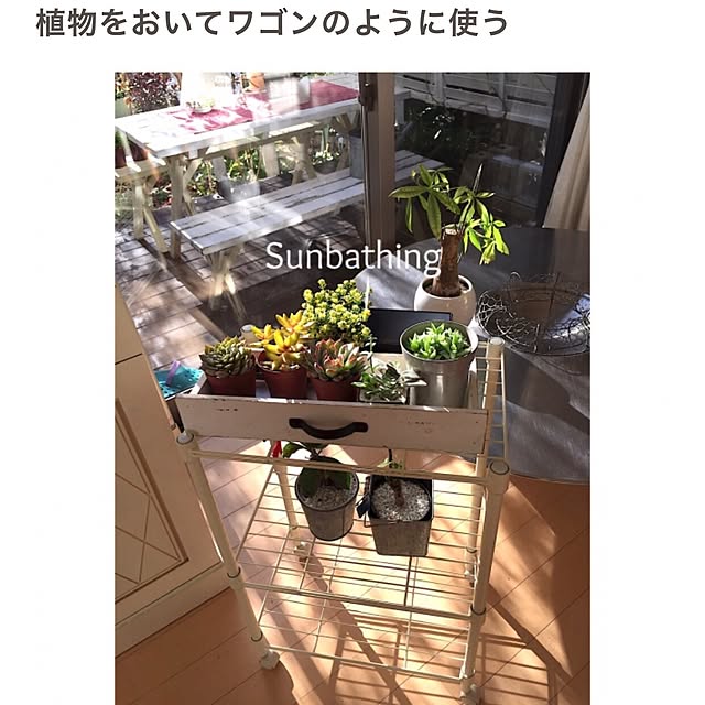 cherryさんの実例写真