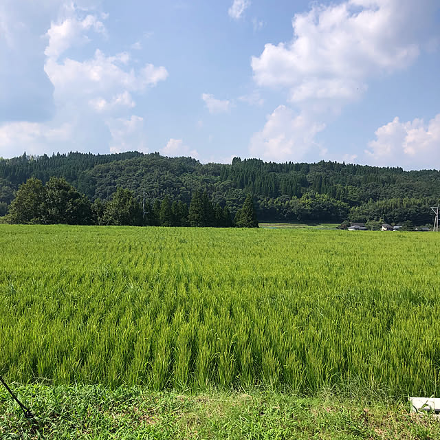 yasaigohanさんの部屋
