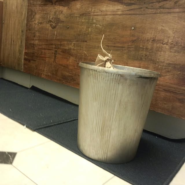 ariさんの実例写真