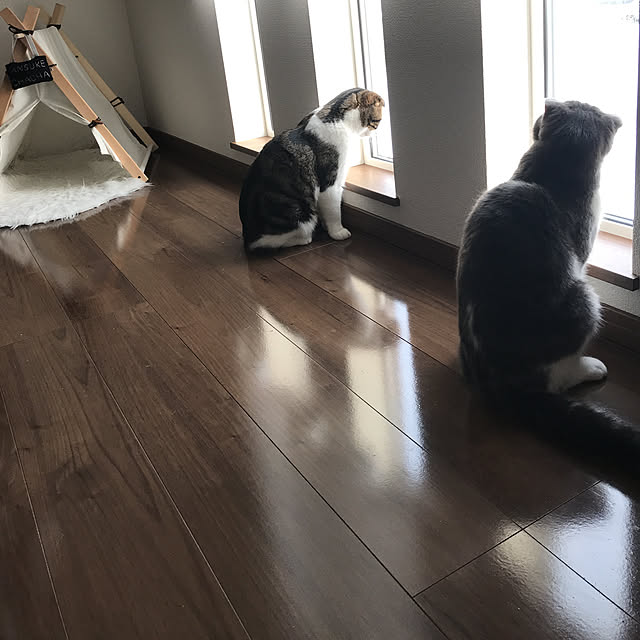 tansukeさんの実例写真