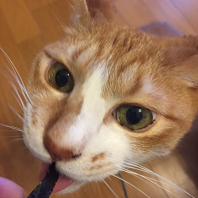 lavie0125さんの実例写真