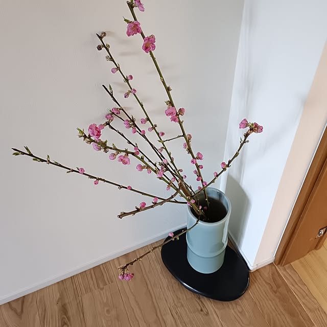 coco1204さんの部屋