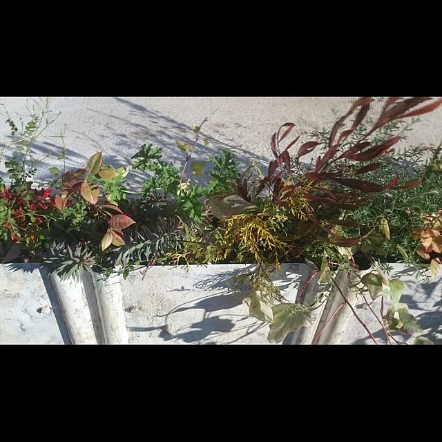 GreenWorksさんの実例写真