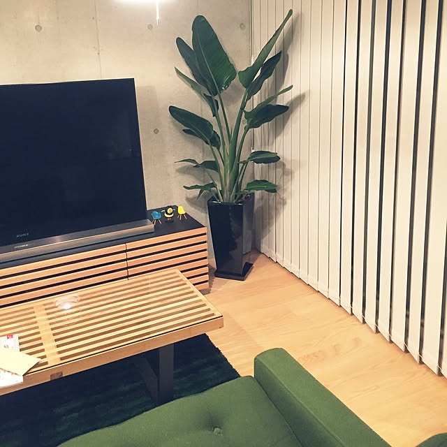 melodyflag.825さんの実例写真