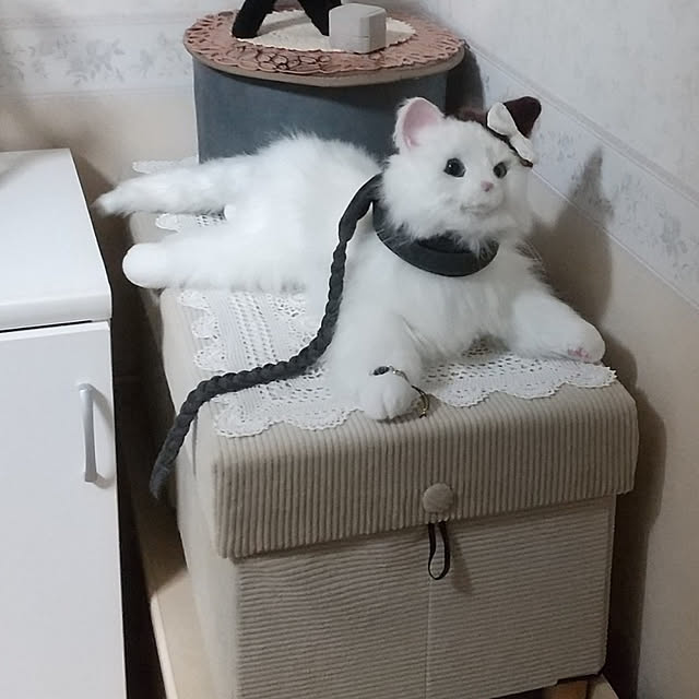 Miuさんの実例写真