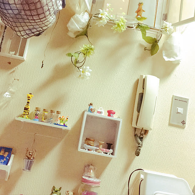 kazuさんの実例写真