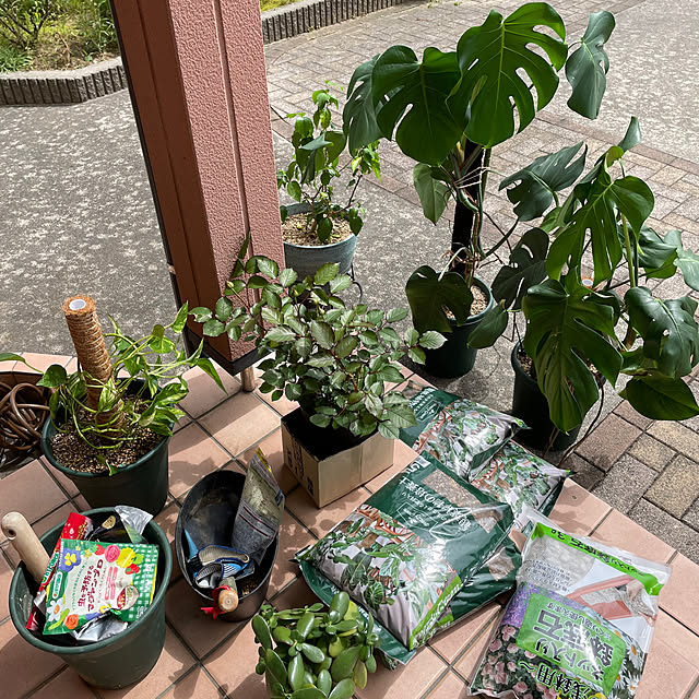 kakoさんの部屋