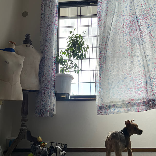 satomitakuさんの実例写真