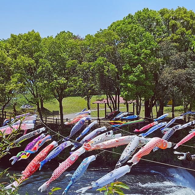 mocomocoさんの部屋