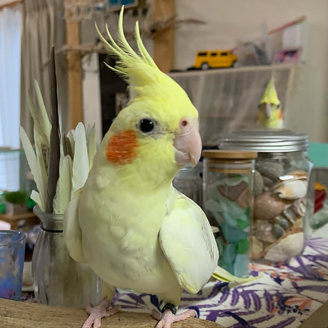 実例写真