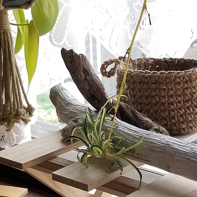 midoriさんの部屋