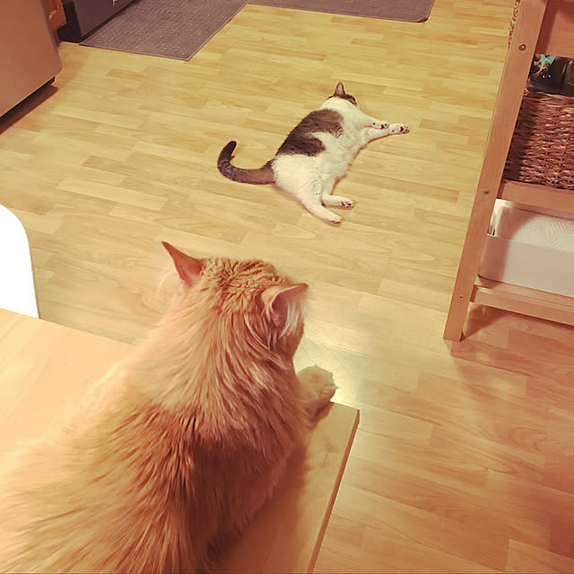 Keiさんの実例写真