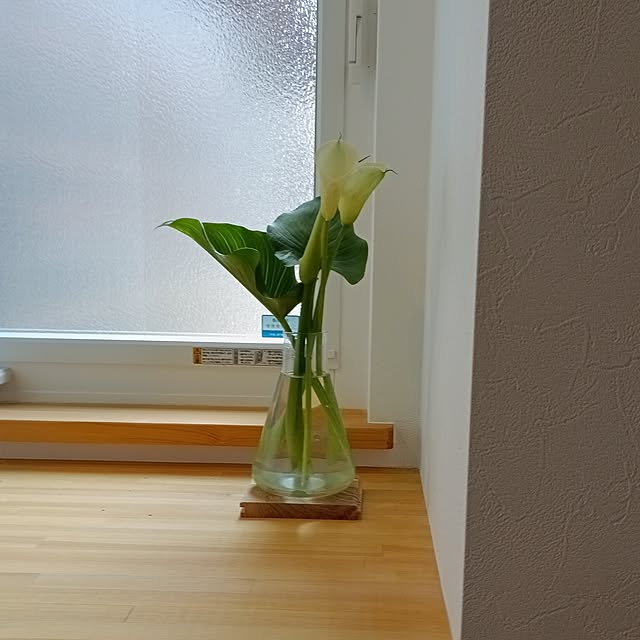 coco1204さんの部屋
