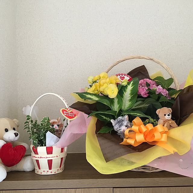 玄関/入り口/観葉植物のインテリア実例 - 2017-05-22 16:11:40