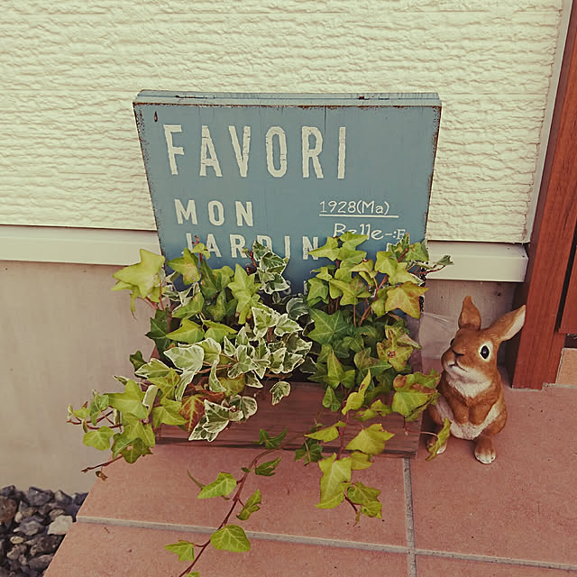 実例写真