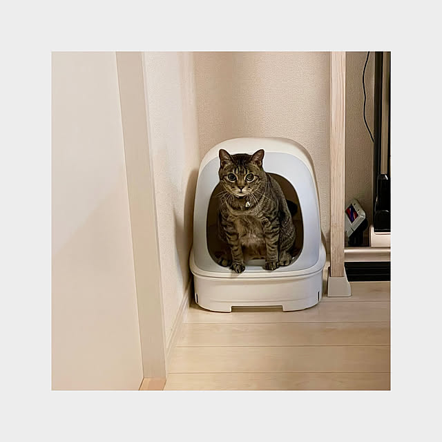 t-famさんの実例写真