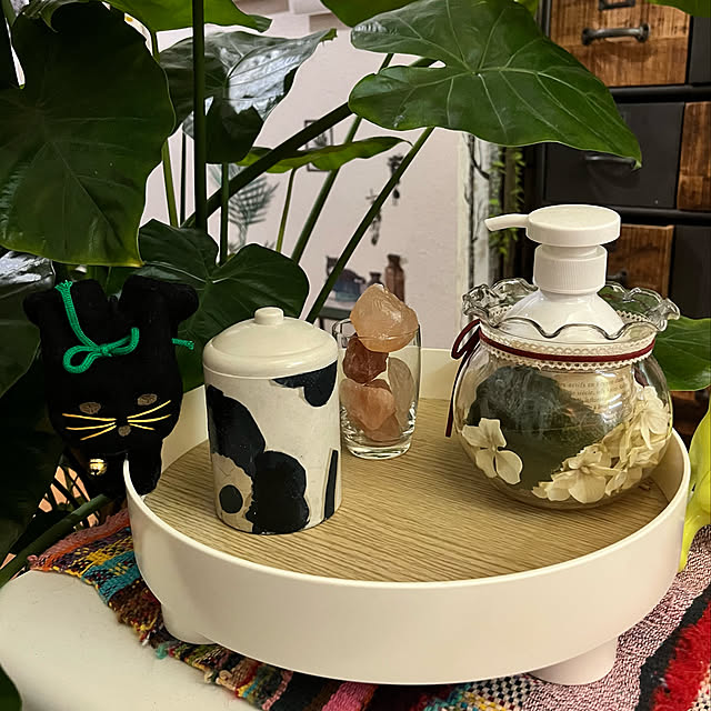jijiさんの実例写真