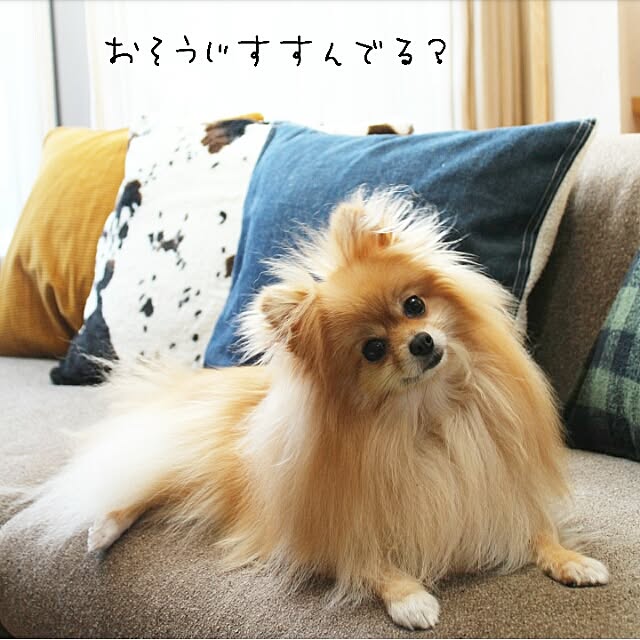naho81078さんの実例写真