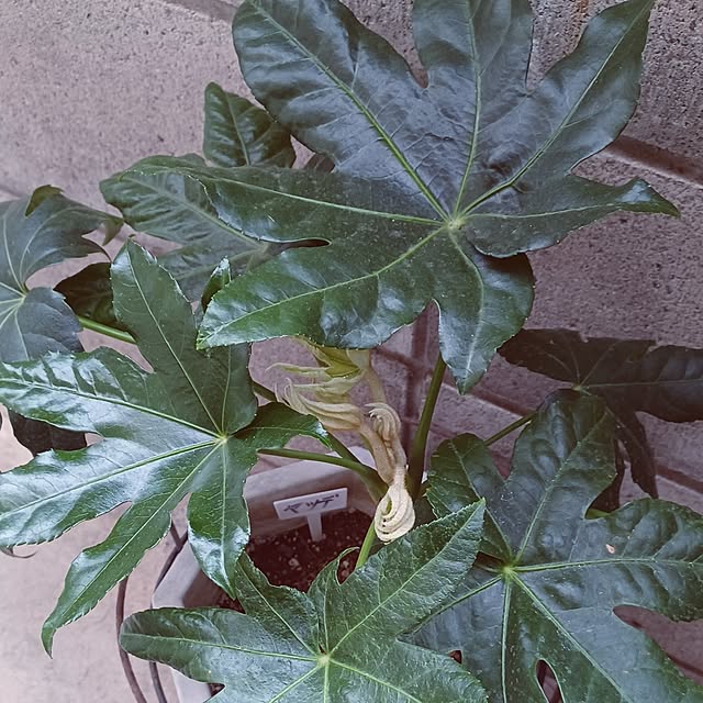 hiro.904さんの実例写真