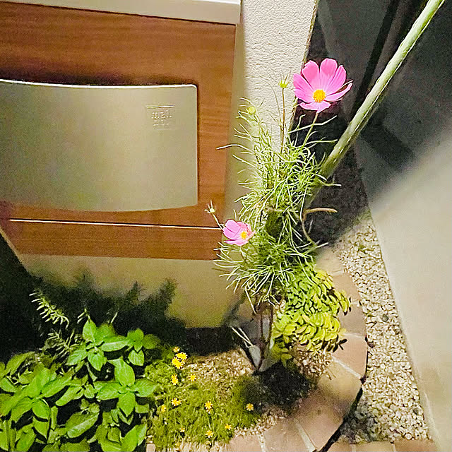 ayyuさんの実例写真