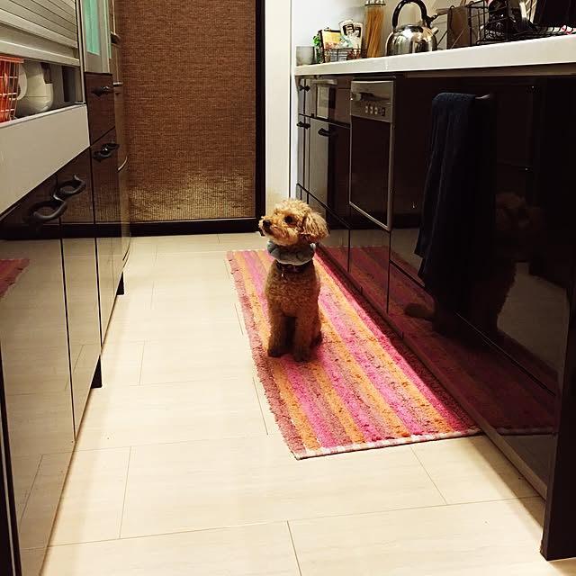 poohkunさんの実例写真
